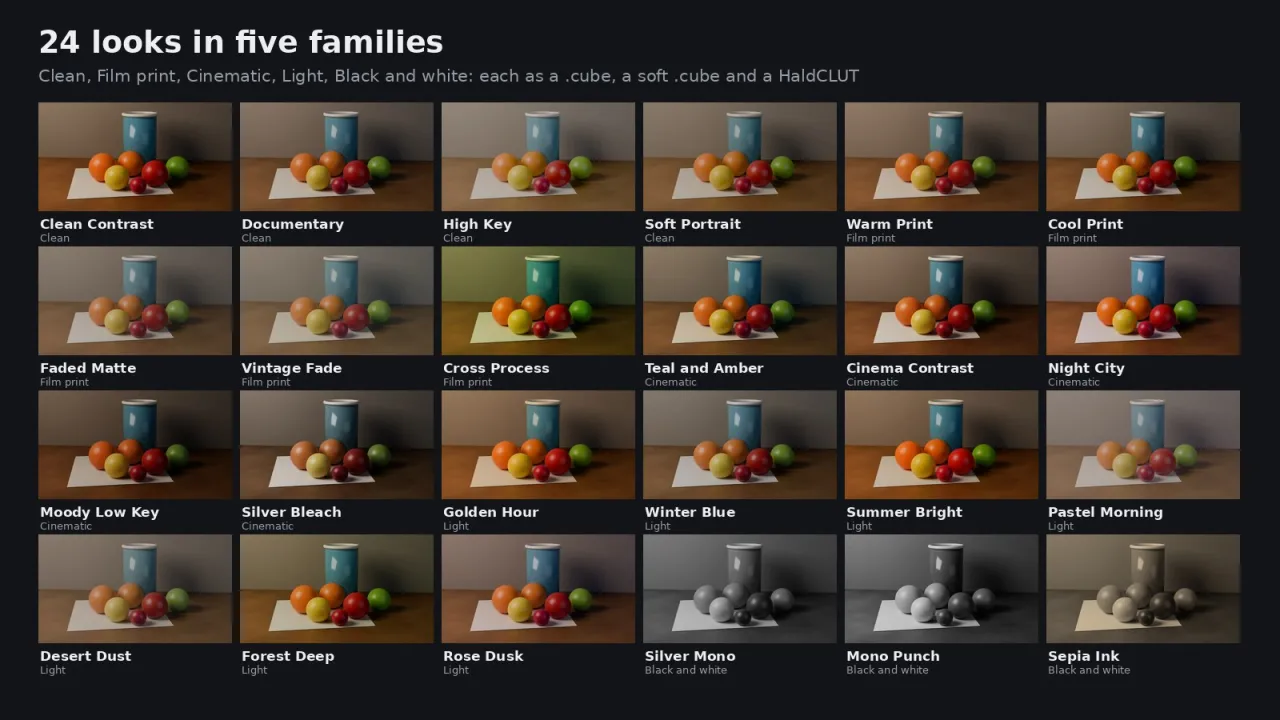 Thumbnails of all 24 looks with their names and families