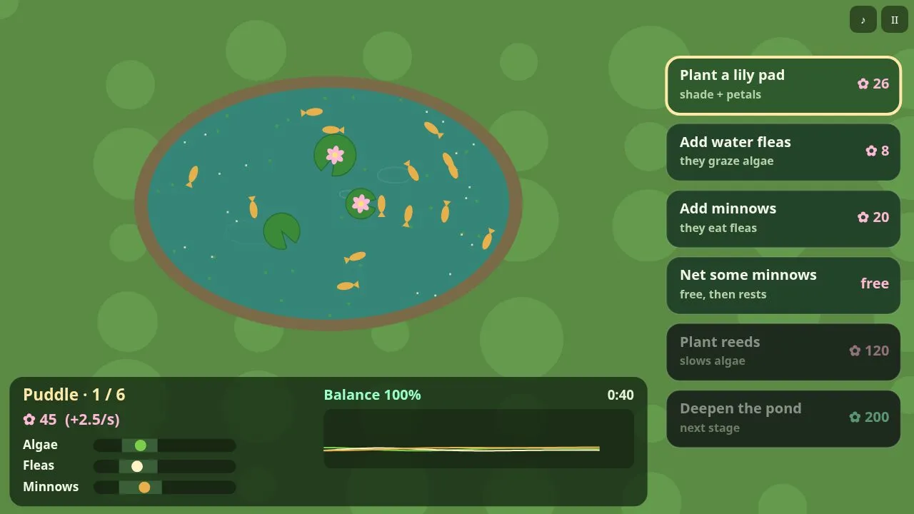 A small pond with algae, fleas and a few minnows