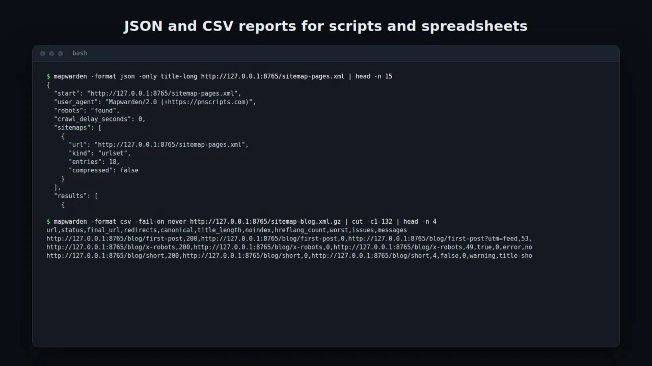 JSON report fields and CSV rows produced by the audit